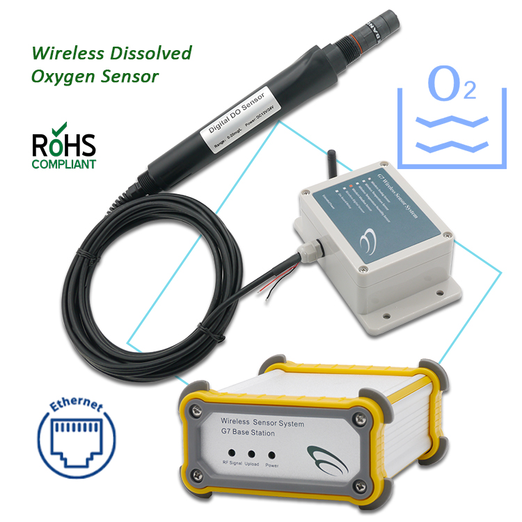 Do Oxygen Meter - 새로운 실시간 모니터링 수처리 분석기, 용존산소