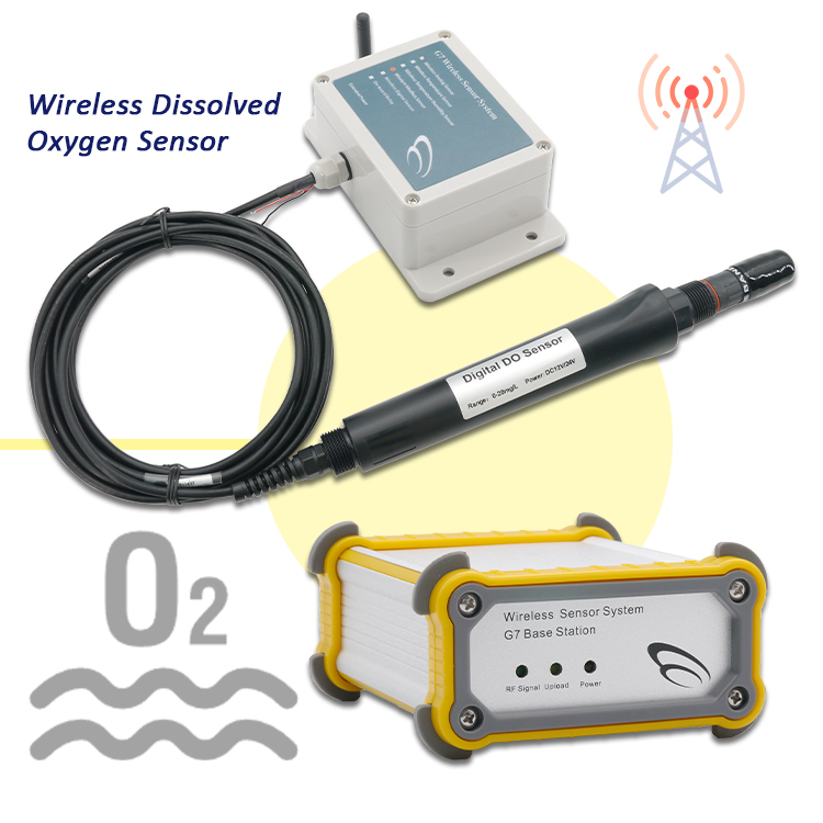 새로운 실시간 모니터링 수처리 분석기, 용존산소 측정기 - Do Oxygen Meter 리뷰 및 가격